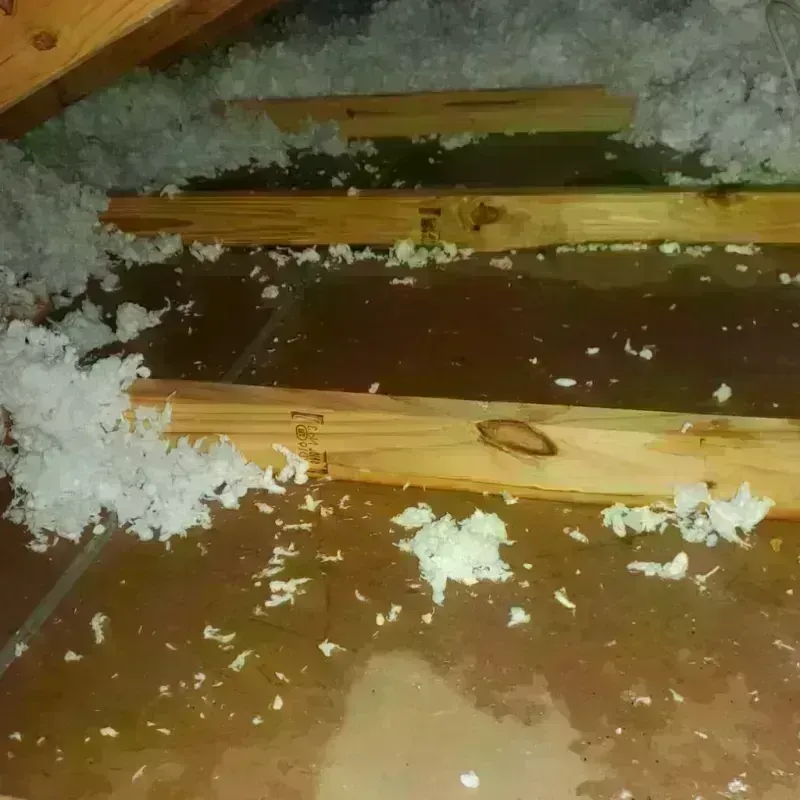 Attic Water Damage in Southport, NY