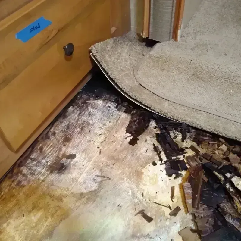 Best Wood Floor Water Damage Service in Southport, NY